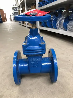 Brand New Cast Iron Flanged Gate Valve (40mm–200mm)