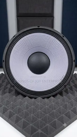 BM Audio Model 15az-5a
