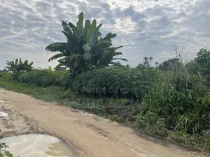 Verified Land for Sale at Omagwa/Ipo