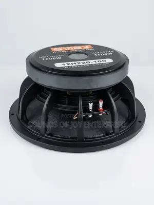 OMAX Professional 12-Inch Speaker Driver (Model: 12h220-100)
