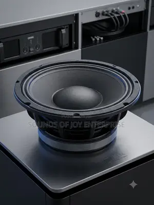OMAX Professional 12-Inch Speaker Driver (Model: 12h220-100)