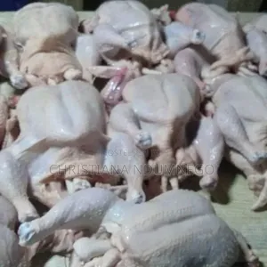 Fresh Farm Chickens