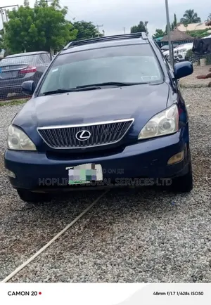 Lexus RX 2007 Blue