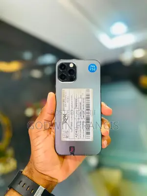 Apple iPhone 12 Pro 256 GB Gray