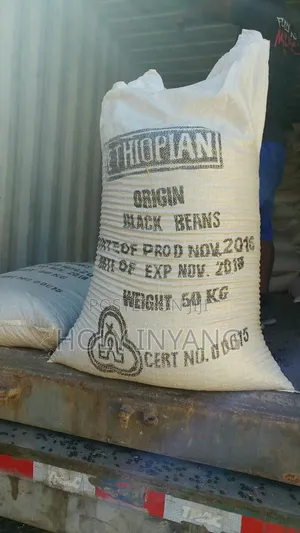 A Bag of White Beans