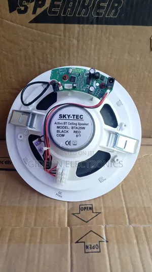 Cieling Speaker