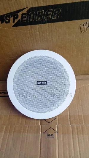Cieling Speaker