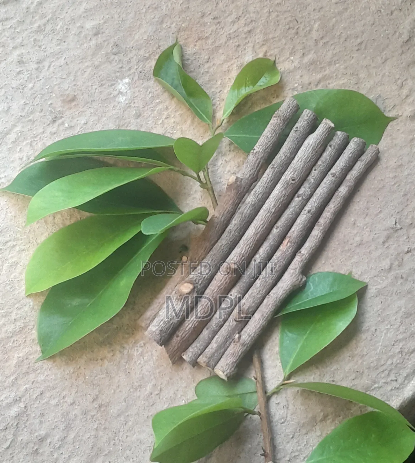 Soursop Chewing Sticks