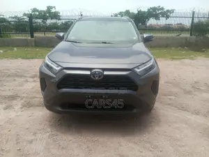 Toyota RAV4 2023 Gray