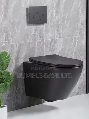 Black Conceal Toilet Seat