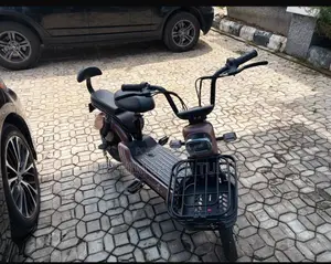 Motorcycle 2024 Gold