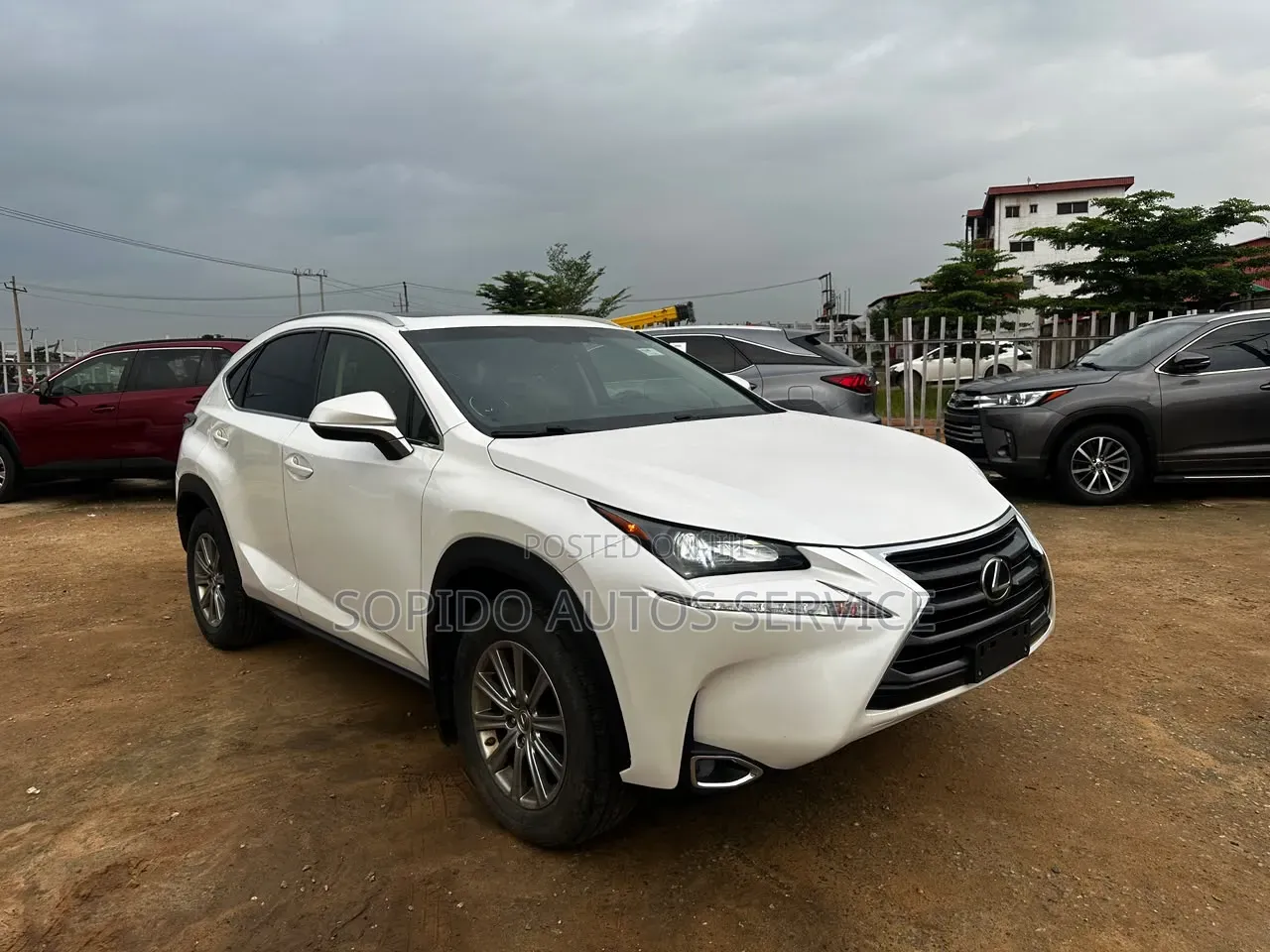 Lexus NX 2016 White