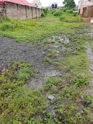Land for Sell at Oye