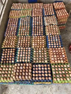 Fresh Farm Eggs