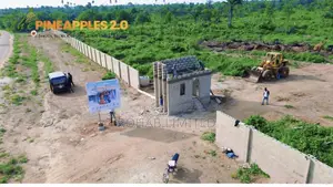 Certificate of Occupancy