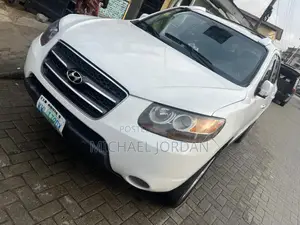 Hyundai Santa Fe 2008 White