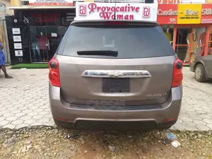 Chevrolet Equinox LS 2010 Brown