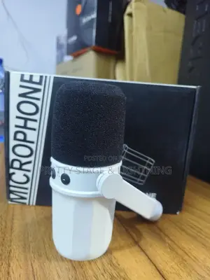 Podcast Mic