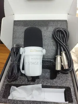 Podcast Mic