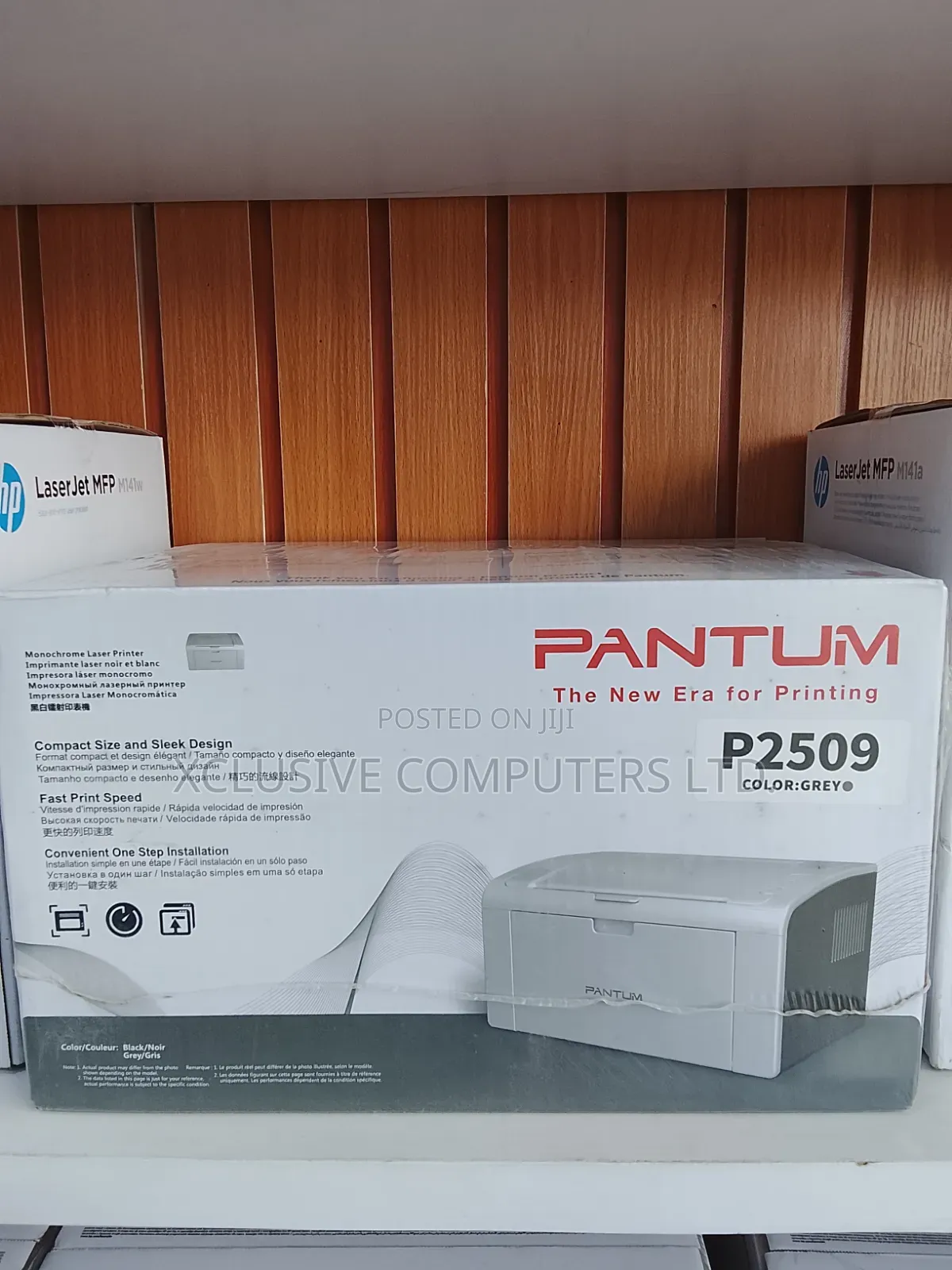 Pantum P2509
