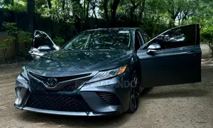 Toyota Camry XLE (2.5L 4cyl 8A) 2019 Gray