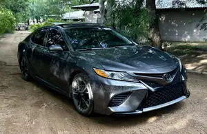 Toyota Camry XLE (2.5L 4cyl 8A) 2019 Gray