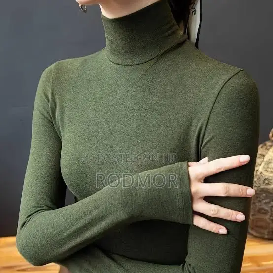 Turtle Neck Top