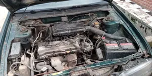 Nissan Primera 2004 Green