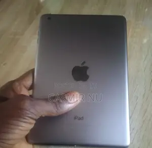 Apple iPad mini 1 16 GB Gray