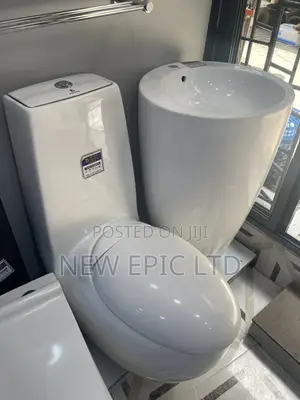Executive England Egg Toilet With Standing Basin