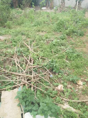 Property Available for Sale