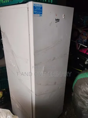 Standing Freezer