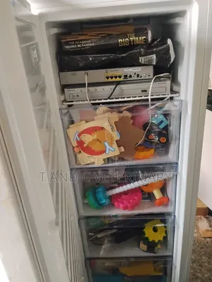 Standing Freezer