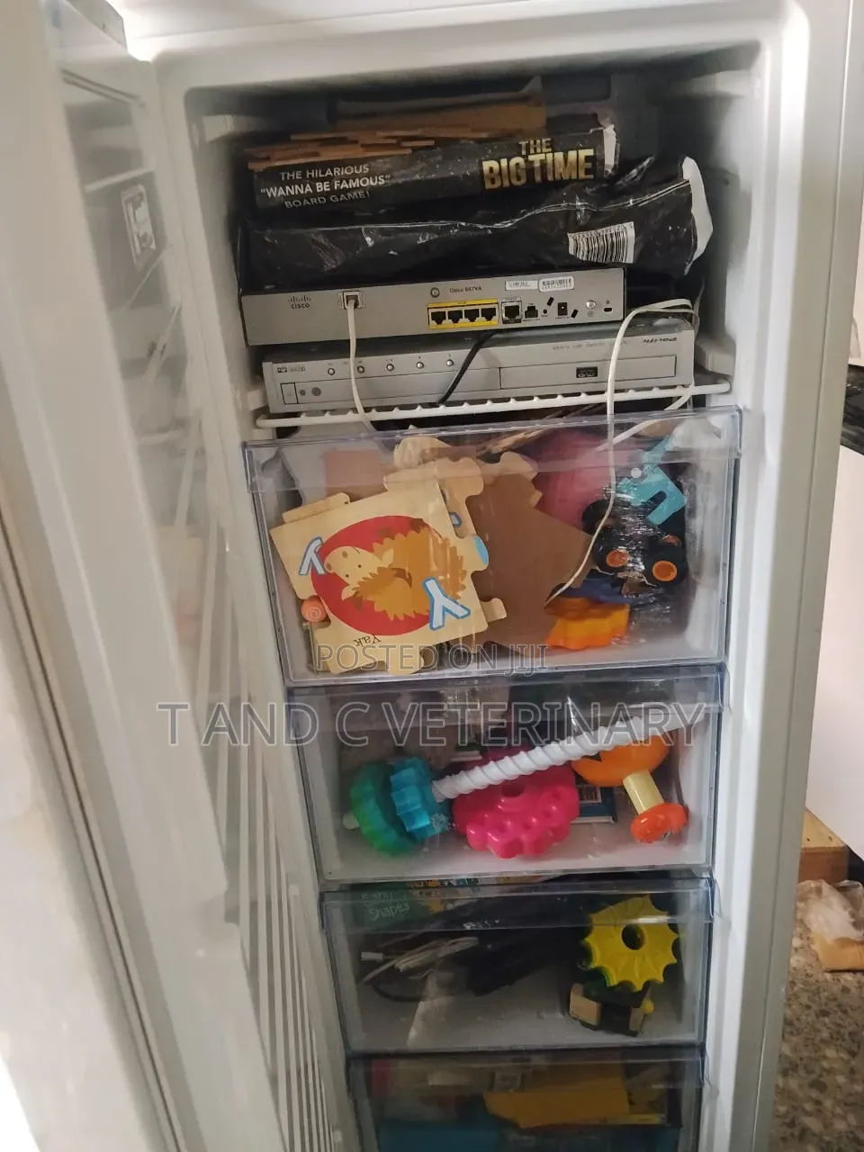 Standing Freezer