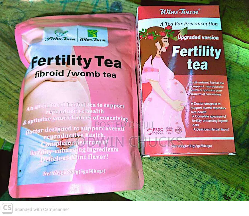 Highly Effective Natural Fertility Therapies