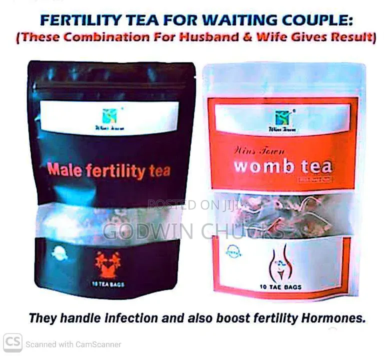 Highly Effective Natural Fertility Therapies