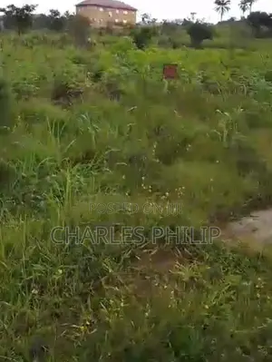 2 Plots of Land in Osisioma Ngwa for Quick Sale
