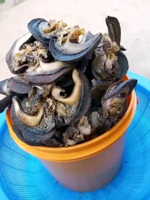 Bush Snails