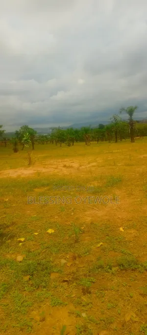Estate Plot in Idu