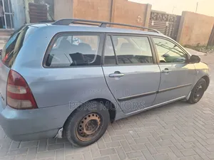 Toyota Corolla 2003 Gray