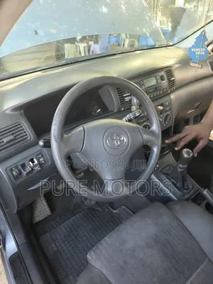 Toyota Corolla 2003 Gray