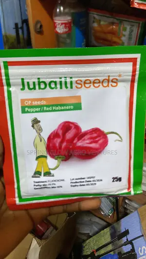 Planting Seeds