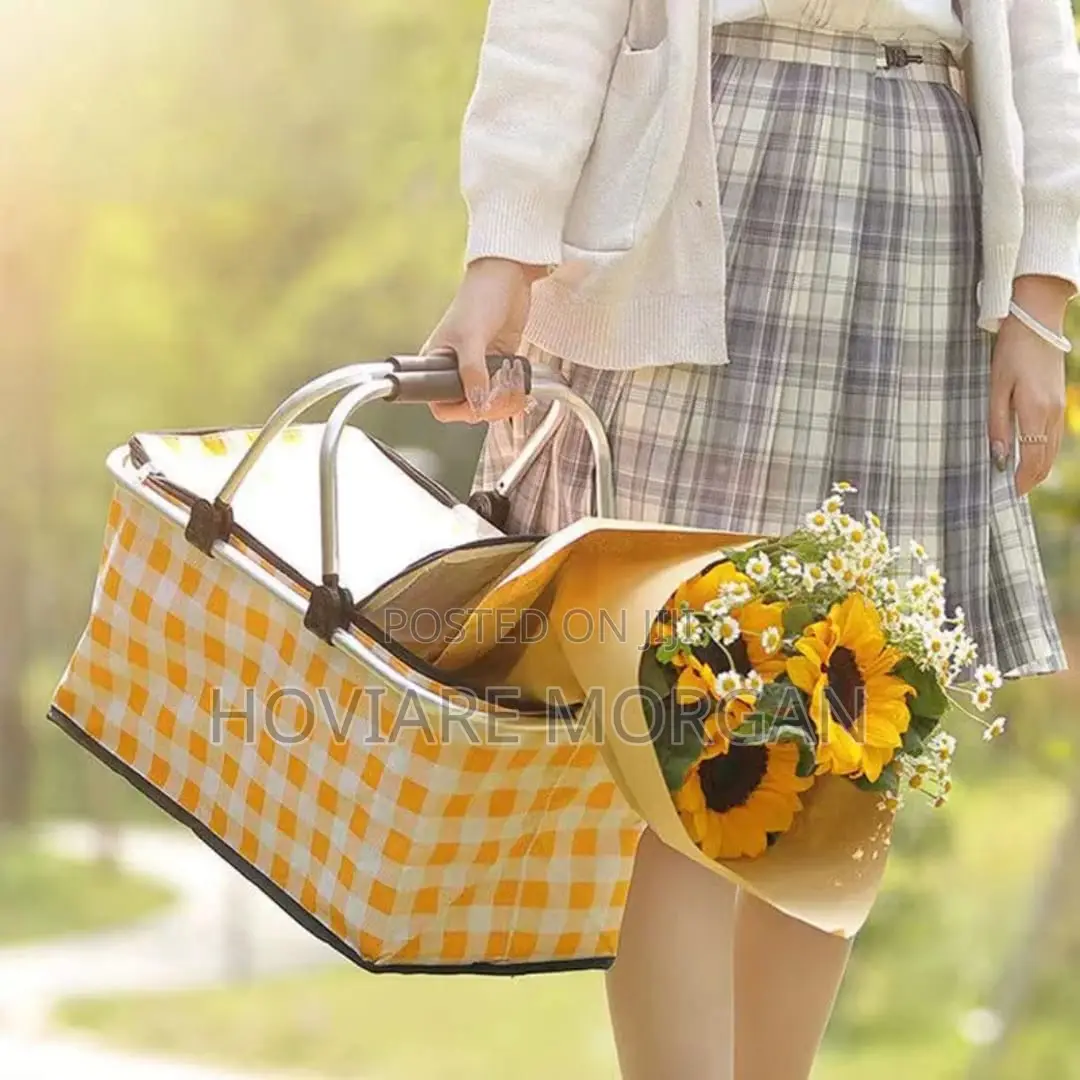 Picnic Bag