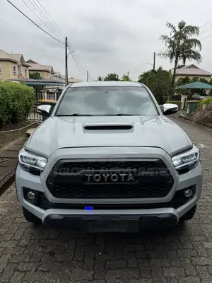 Toyota Tacoma Double Cab V6 Automatic 2010 Gray