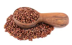 Alligator Pepper Seed