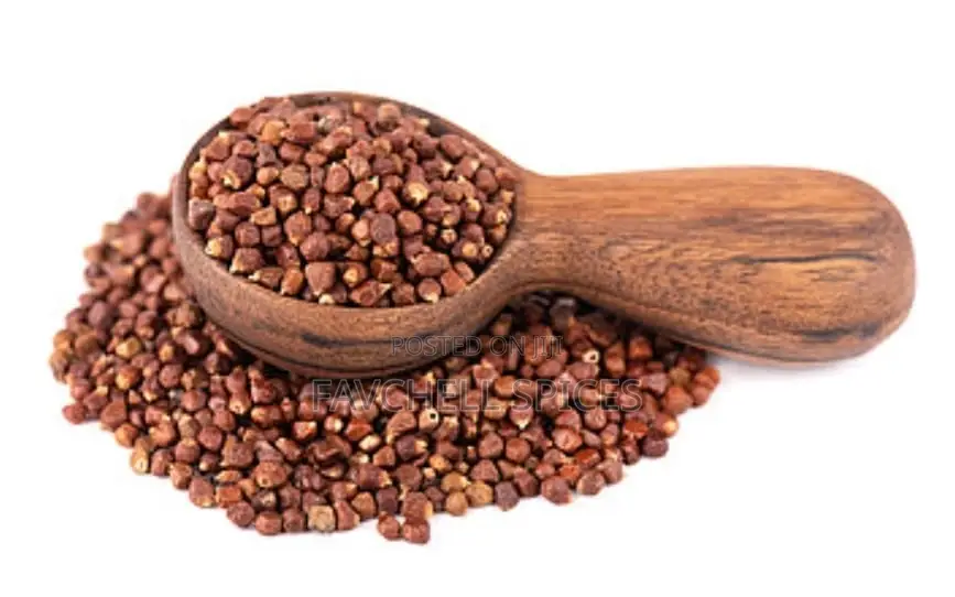 Alligator Pepper Seed
