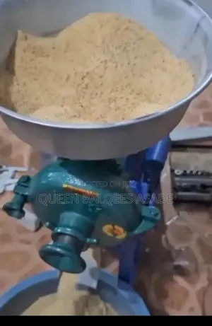 Industrial Wet and Dry Grinder