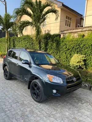 Toyota RAV4 2009 Gray