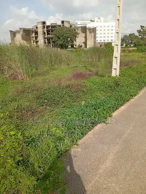 2000 Square Meters C of O Asokoro