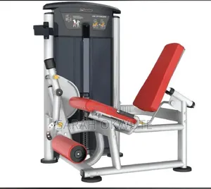 Leg Press Machine